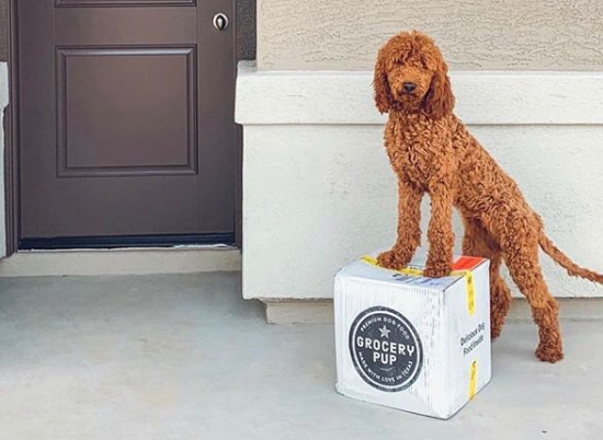 Grocery Pup Delivers Sous-Vide Dog Meals